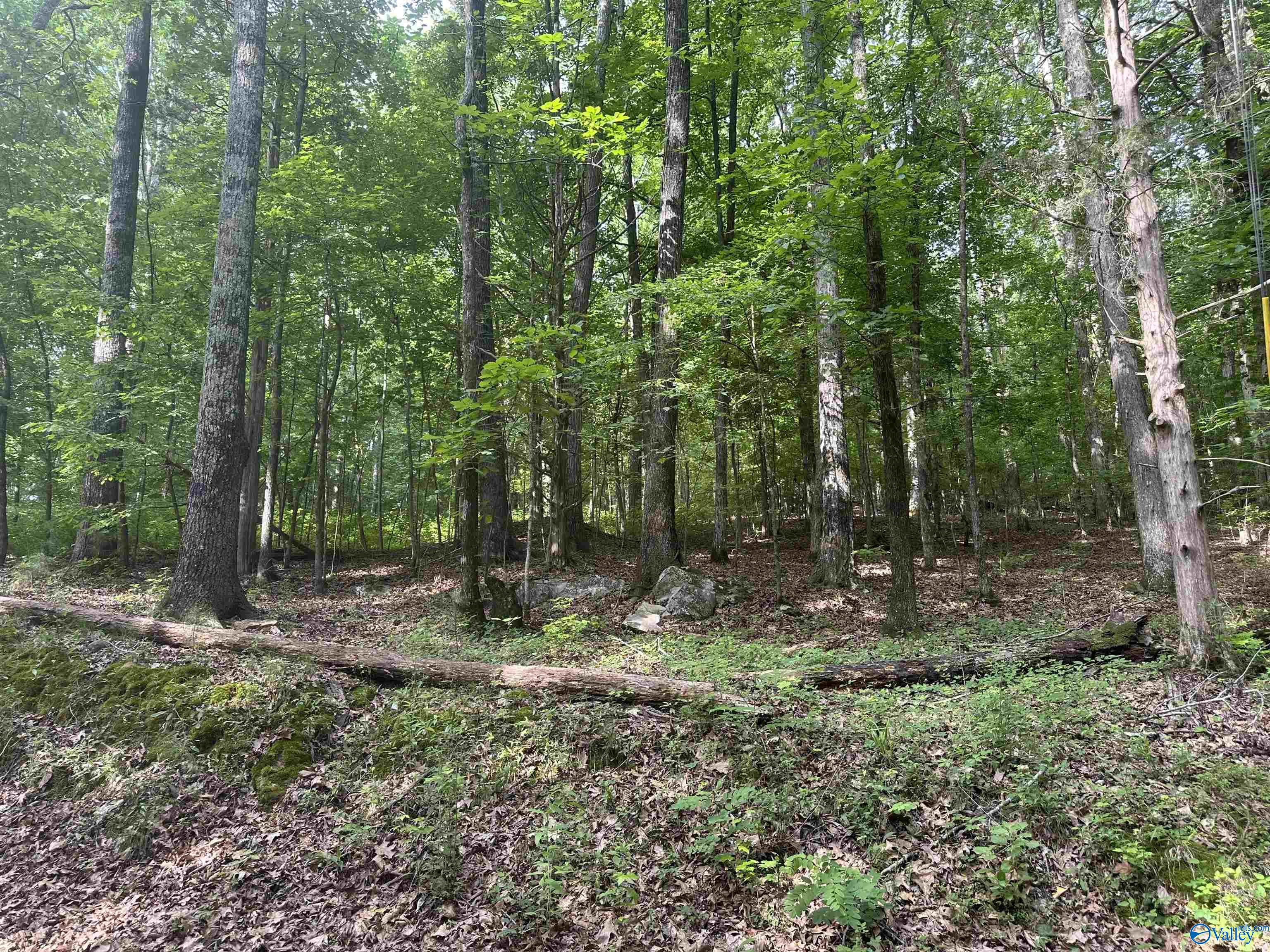 LOT 9 Green Valley Road, Owens Cross Roads, Alabama image 2