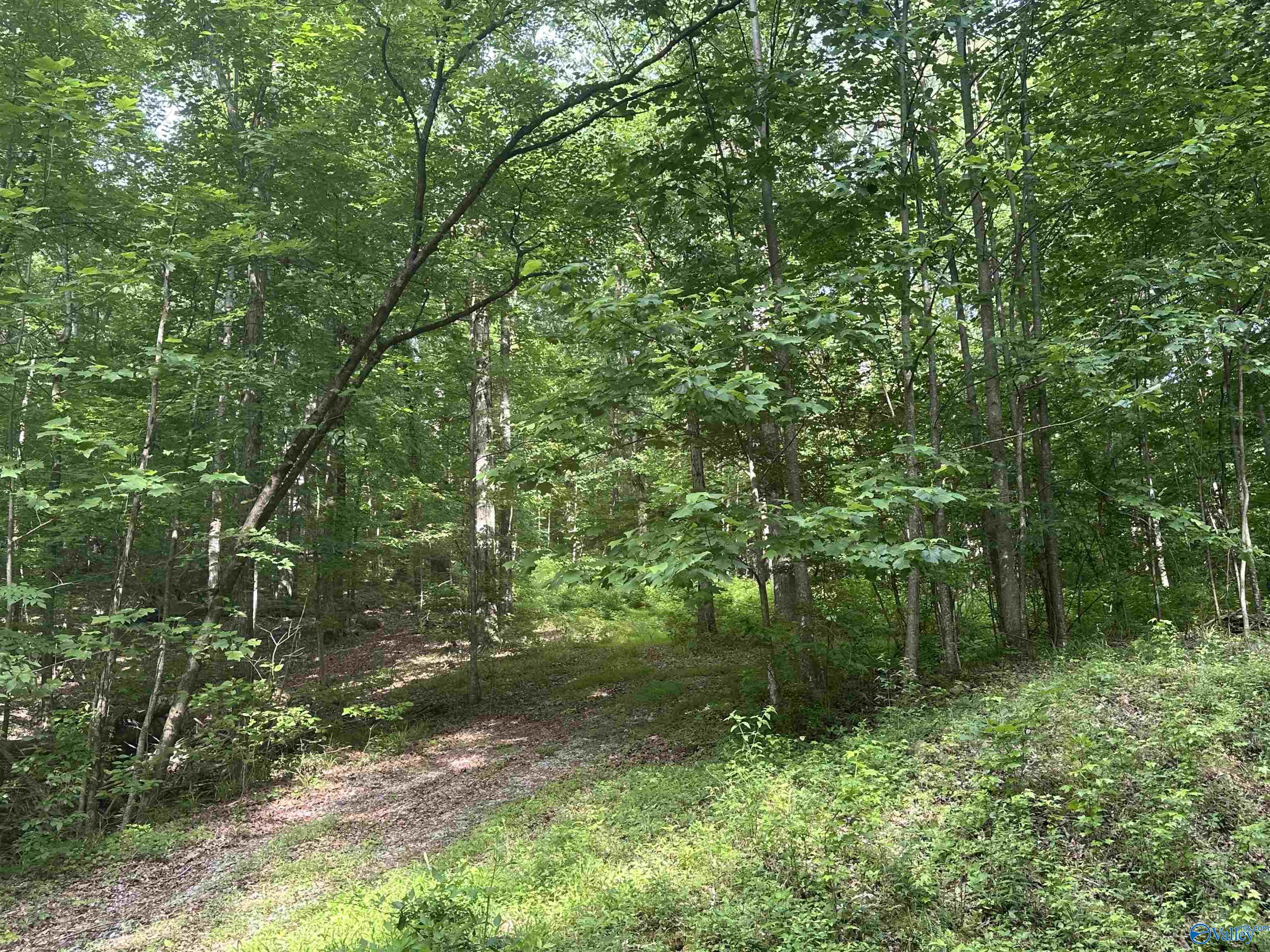 LOT 9 Green Valley Road, Owens Cross Roads, Alabama image 3