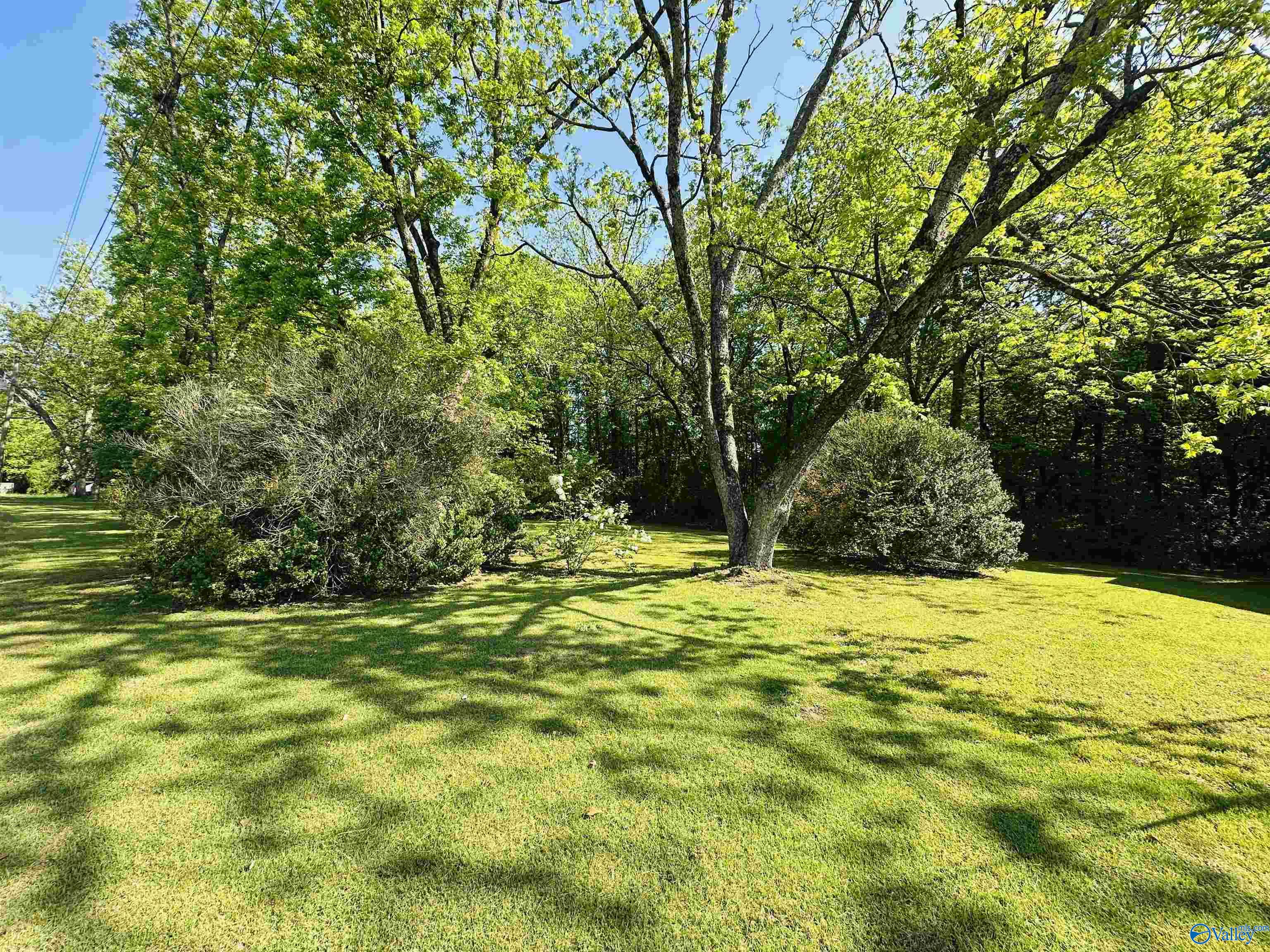 890 Fairview Drive, Arab, Alabama image 37