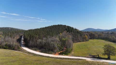 Vacant Land For Sale - 0257 County Road 175<br/> Piedmont, AL 36272
