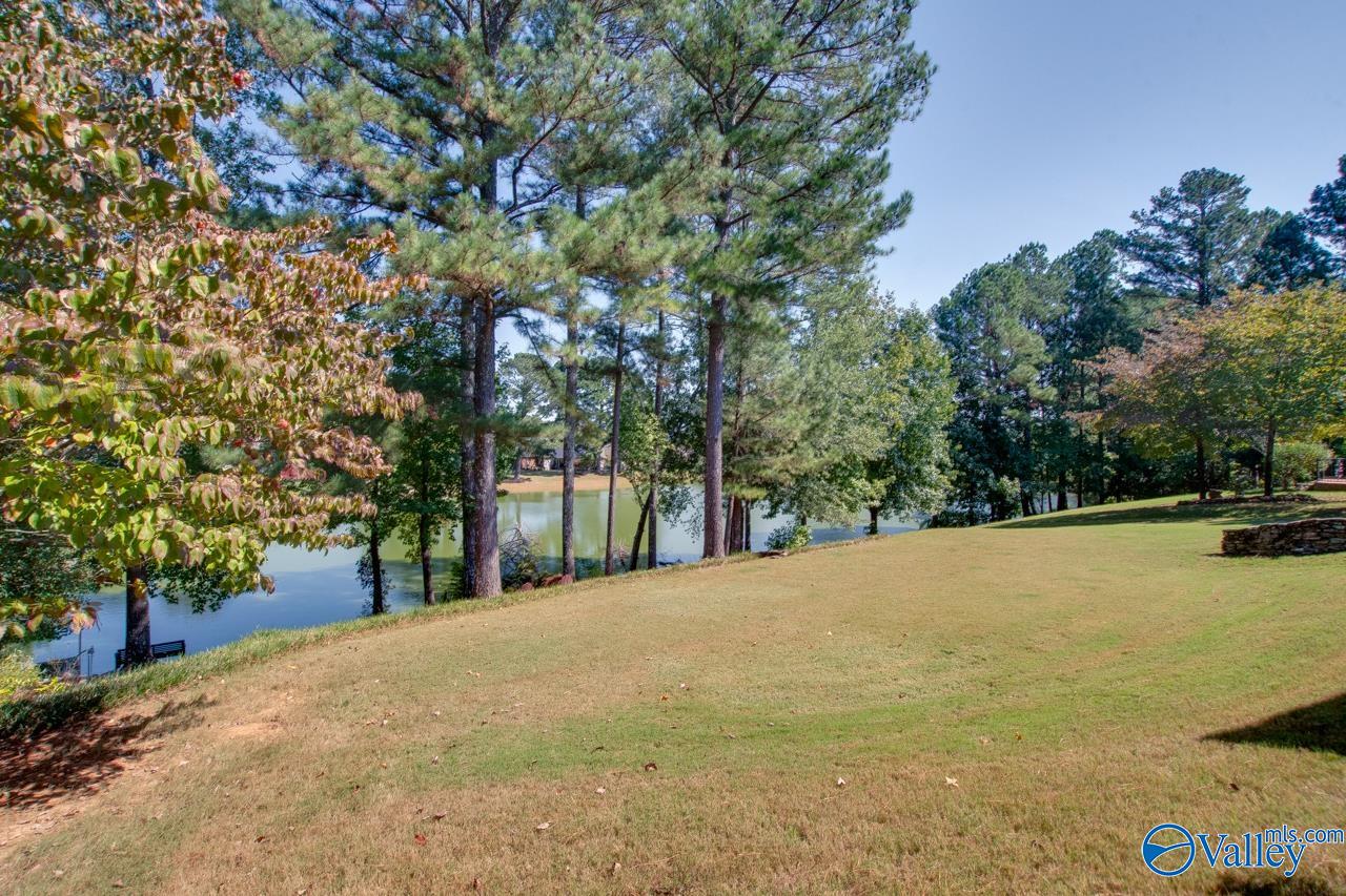 7103 Pinyon Pine Lane, Owens Cross Roads, Alabama image 31