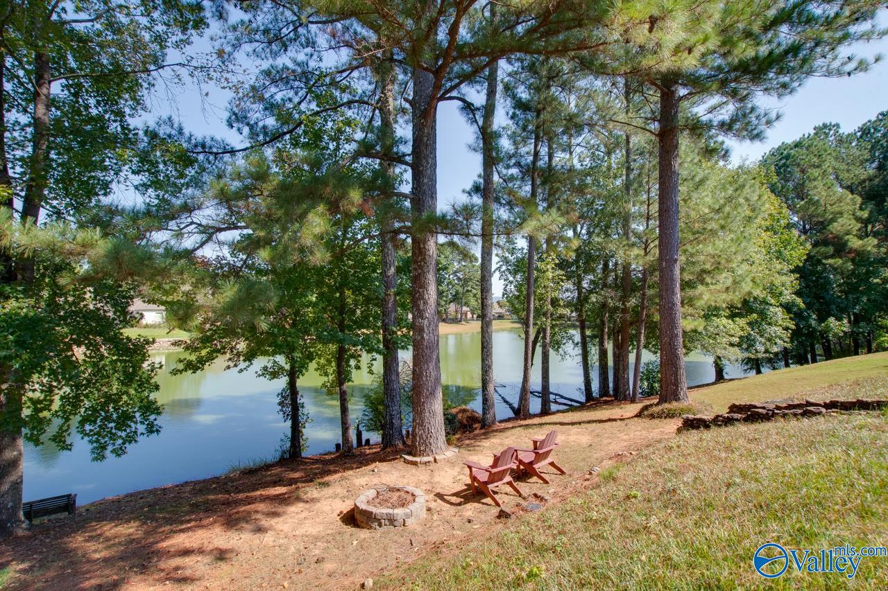 7103 Pinyon Pine Lane, Owens Cross Roads, Alabama image 32