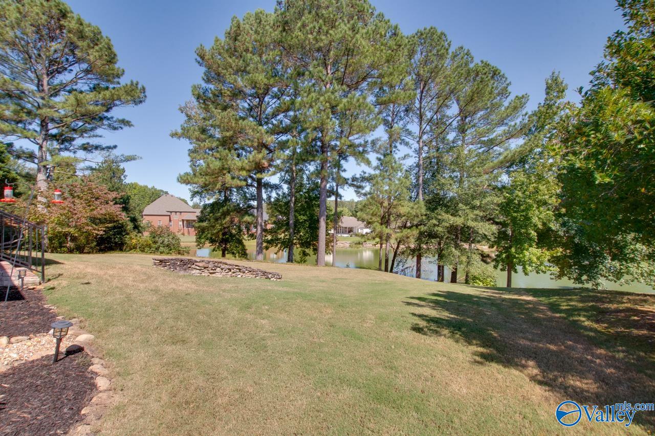 7103 Pinyon Pine Lane, Owens Cross Roads, Alabama image 33