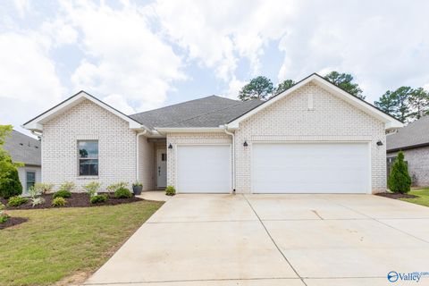 Homes For Sale - 6017 SE Margie Collins Drive<br/> Madison County, Owens Cross Roads, AL 35763
