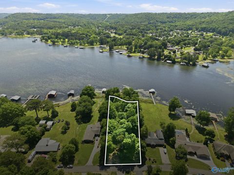 Vacant Land For Sale - 3809 Meadow Wood Circle<br/> Guntersville, AL 35976