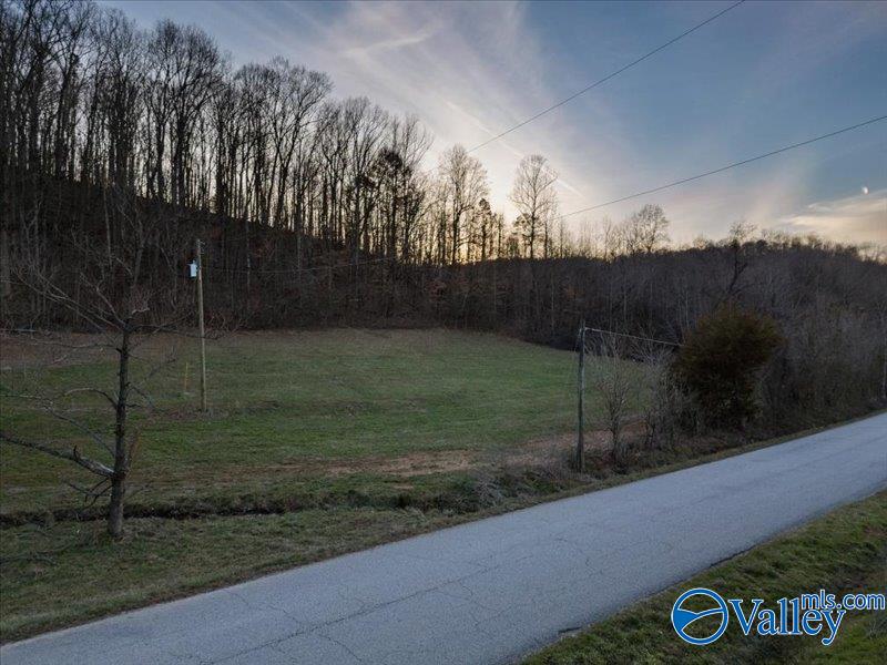 1056 Rocky Hollow Road #10, Blountsville, Alabama image 9