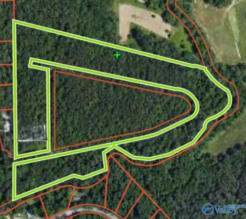 Vacant Land For Sale - 1 Sugarland Lake Resort<br/> Oneonta, AL 35121