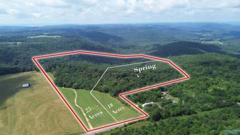 Vacant Land For Sale - 24.9 Paramount Drive<br/> Marshall County, Grant, AL 35747