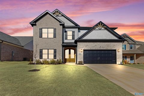 Homes For Sale - 19993 Pebble Brook Lane<br/> Athens, AL 35611