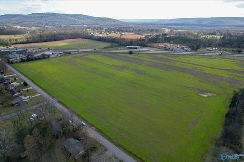 Vacant Land For Sale - 24 ACRES Highway 431<br/> Owens Cross Roads, AL 35763