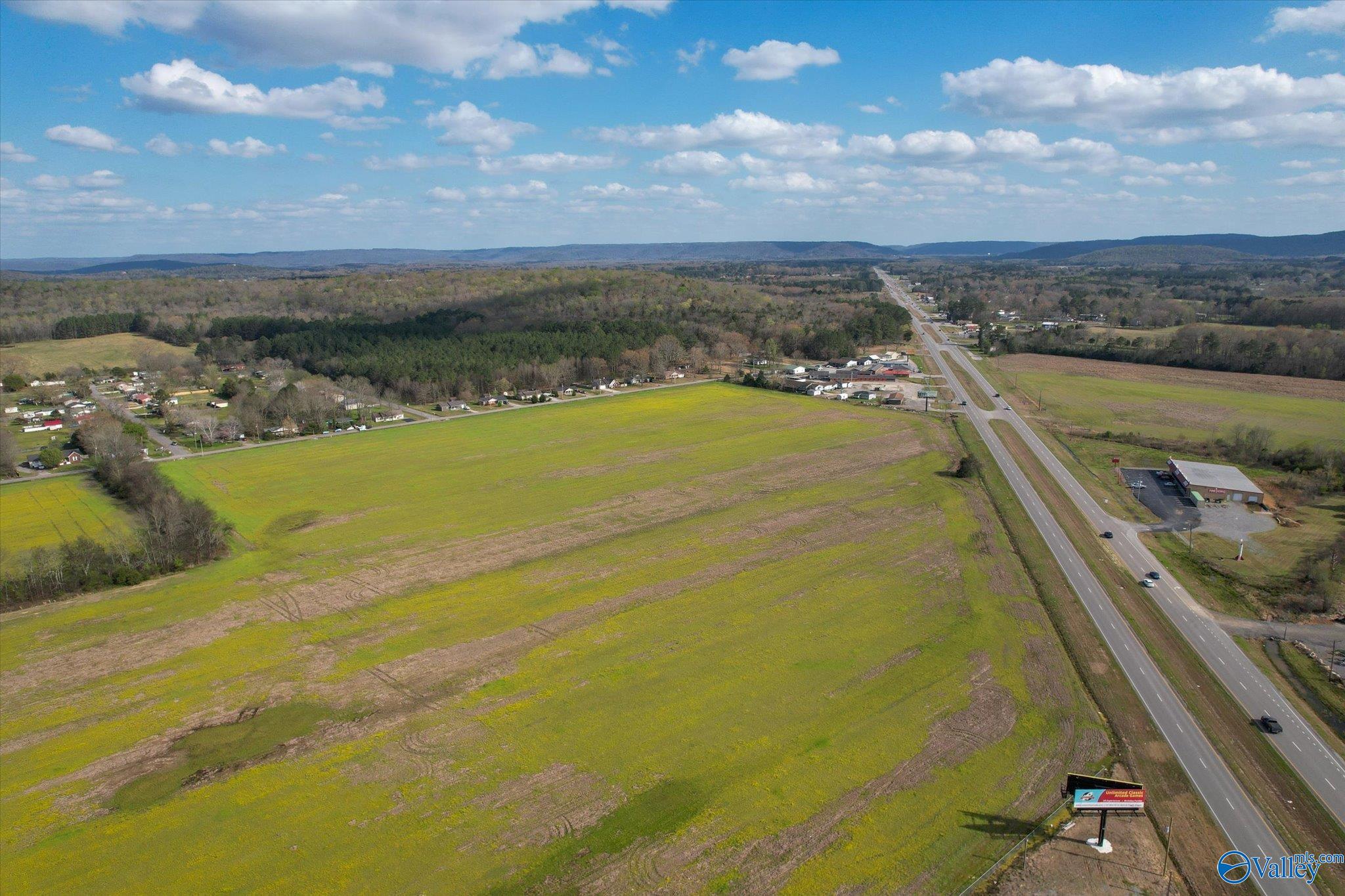 24 Acres U S Hwy 431, Owens Cross Roads, Alabama image 8