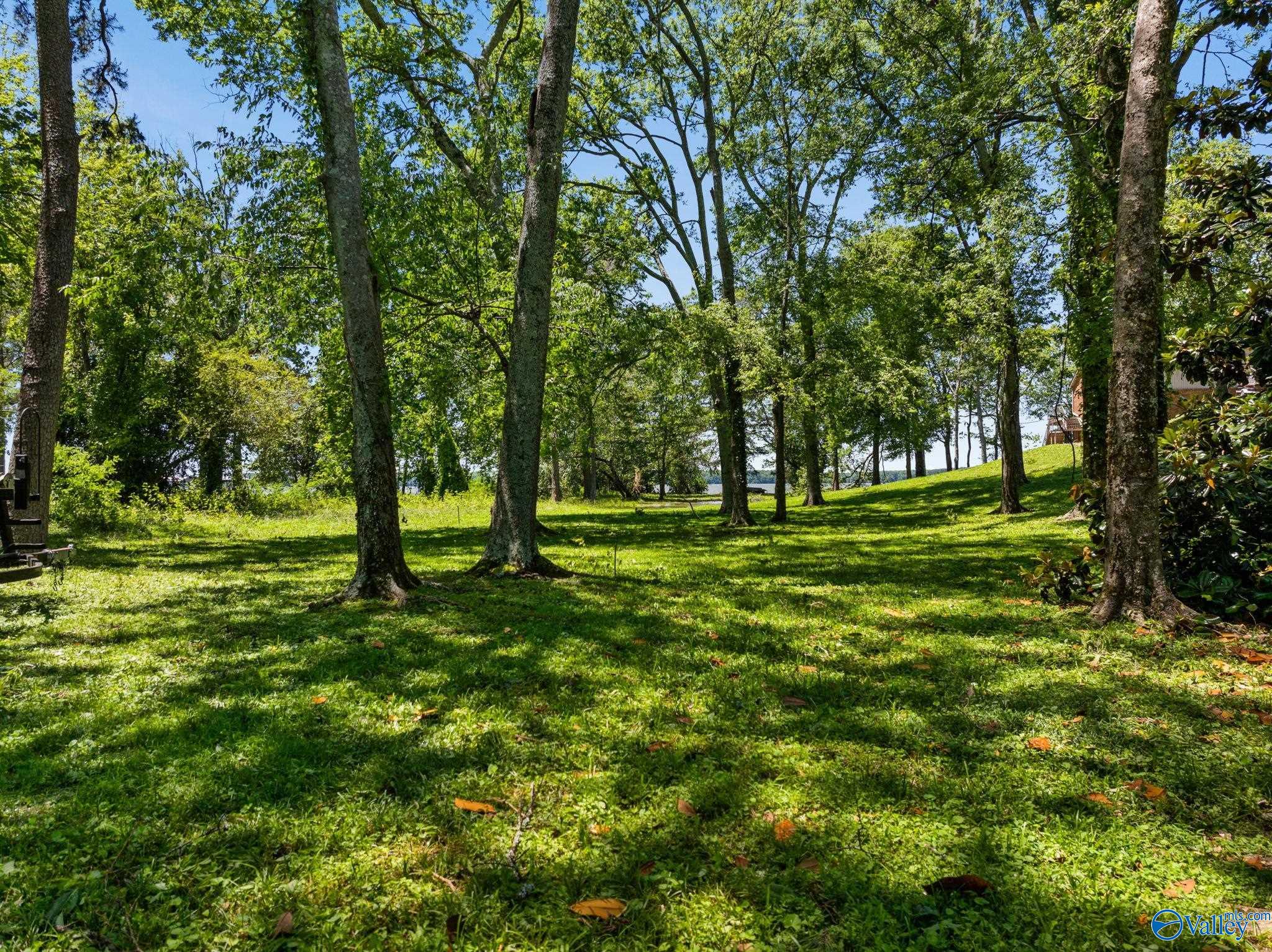 887 Ramblewood Drive, Rogersville, Alabama image 36