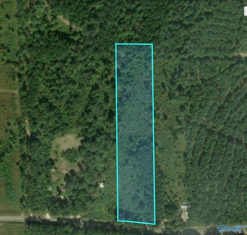 Vacant Land For Sale - 38 County Road 14 #38<br/> Cherokee County, Piedmont, AL 36272