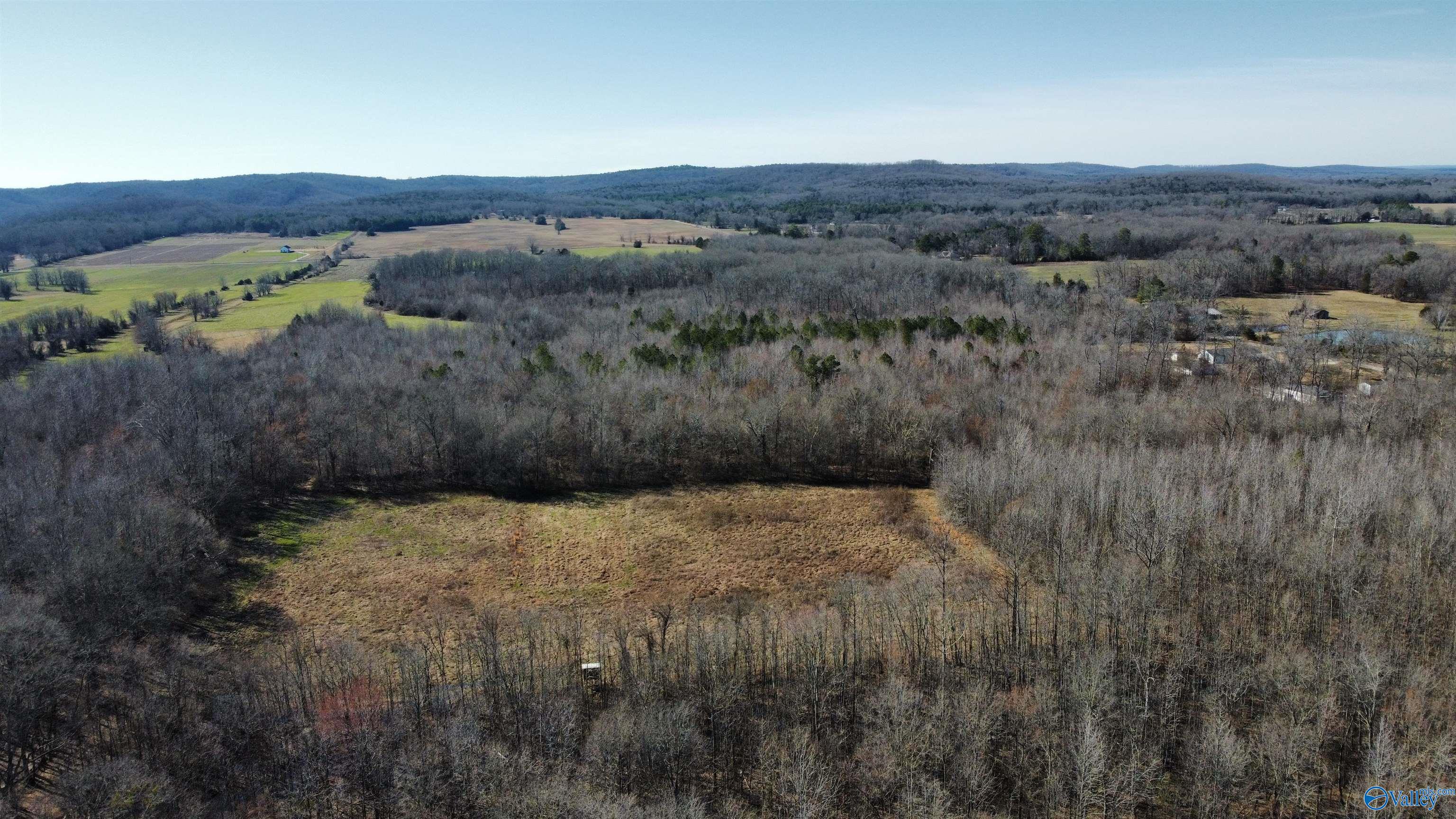 25 +/- Acres County Road 190, Moulton, Alabama image 7