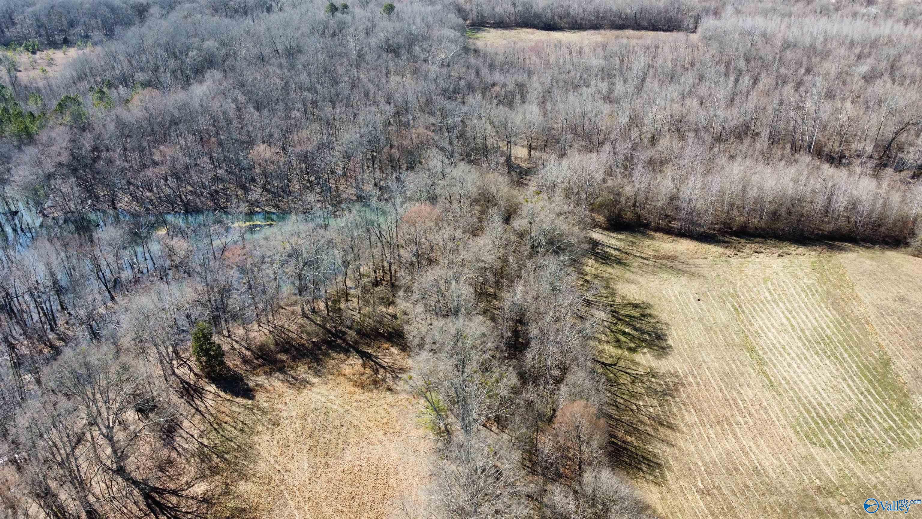 25 +/- Acres County Road 190, Moulton, Alabama image 2