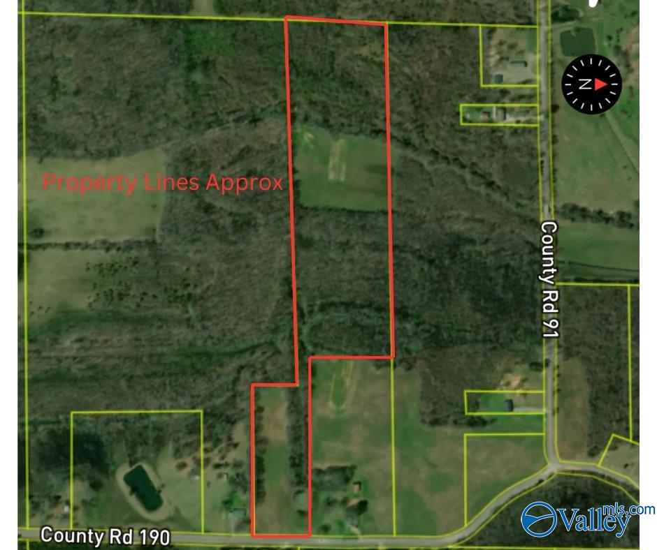 25 +/- Acres County Road 190, Moulton, Alabama image 12