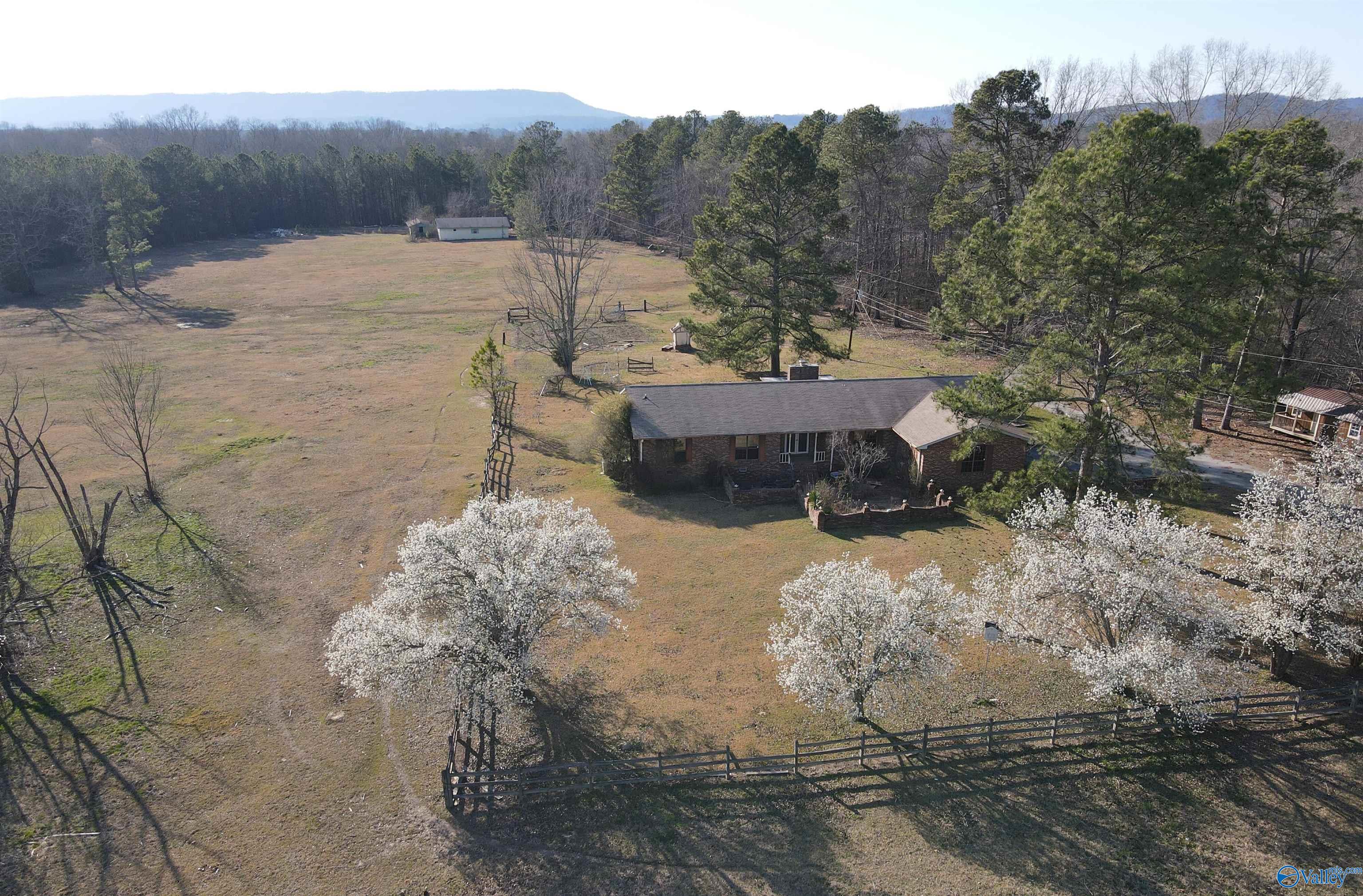 1016 Wesson Lake Road, Attalla, Alabama image 1