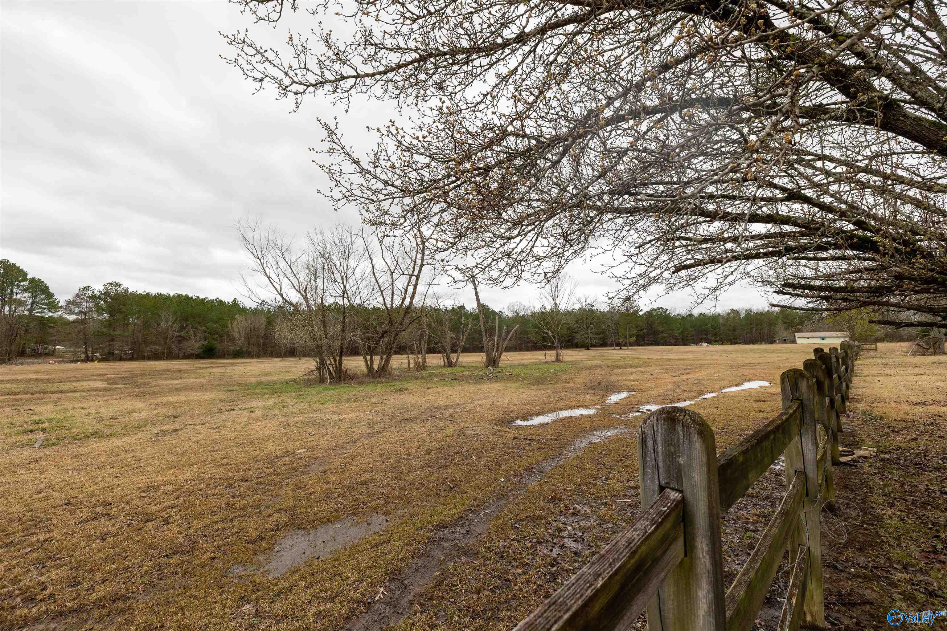 1016 Wesson Lake Road, Attalla, Alabama image 33