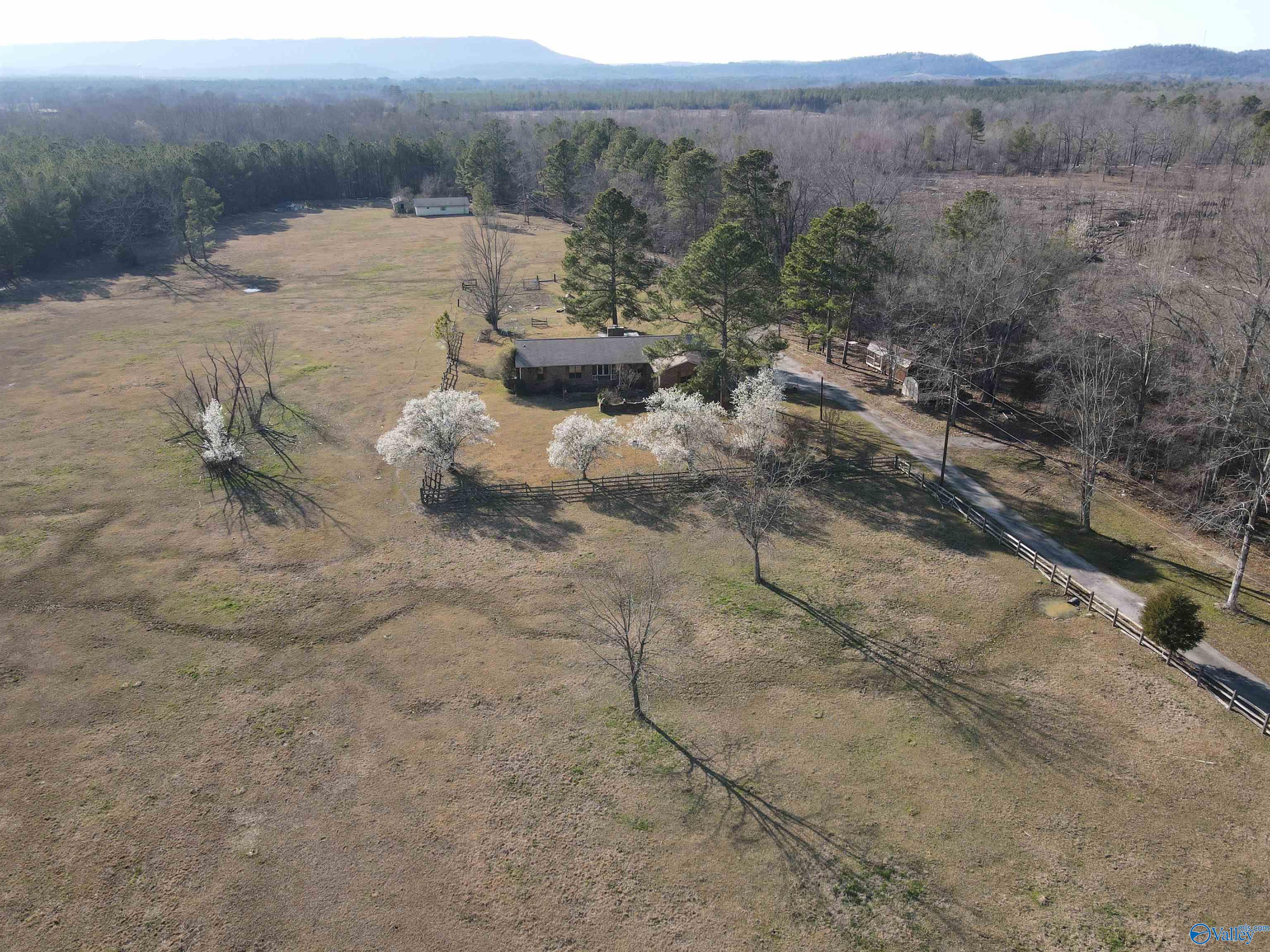 1016 Wesson Lake Road, Attalla, Alabama image 2