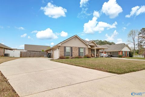 Homes For Sale - 193 Amsterdam Place<br/> Madison, AL 35758