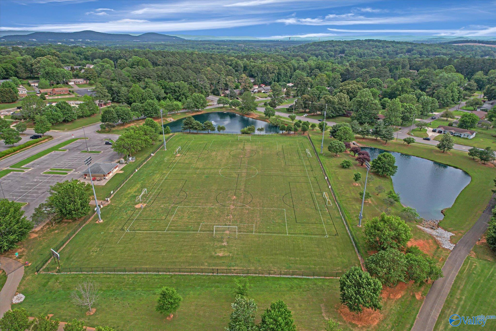 104 Millstone Lane, Madison, Alabama image 39