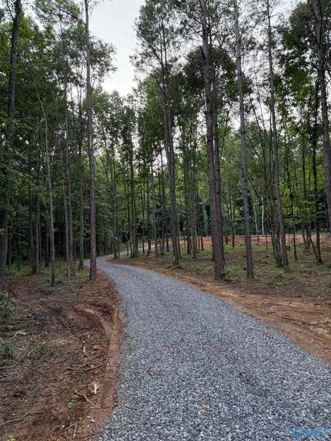 Vacant Land For Sale - 8+ ACRES Warrenton Road<br/> Guntersville, AL 35976