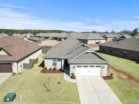Homes For Sale - 21861 Natures Cove Drive<br/> Athens, AL 35613