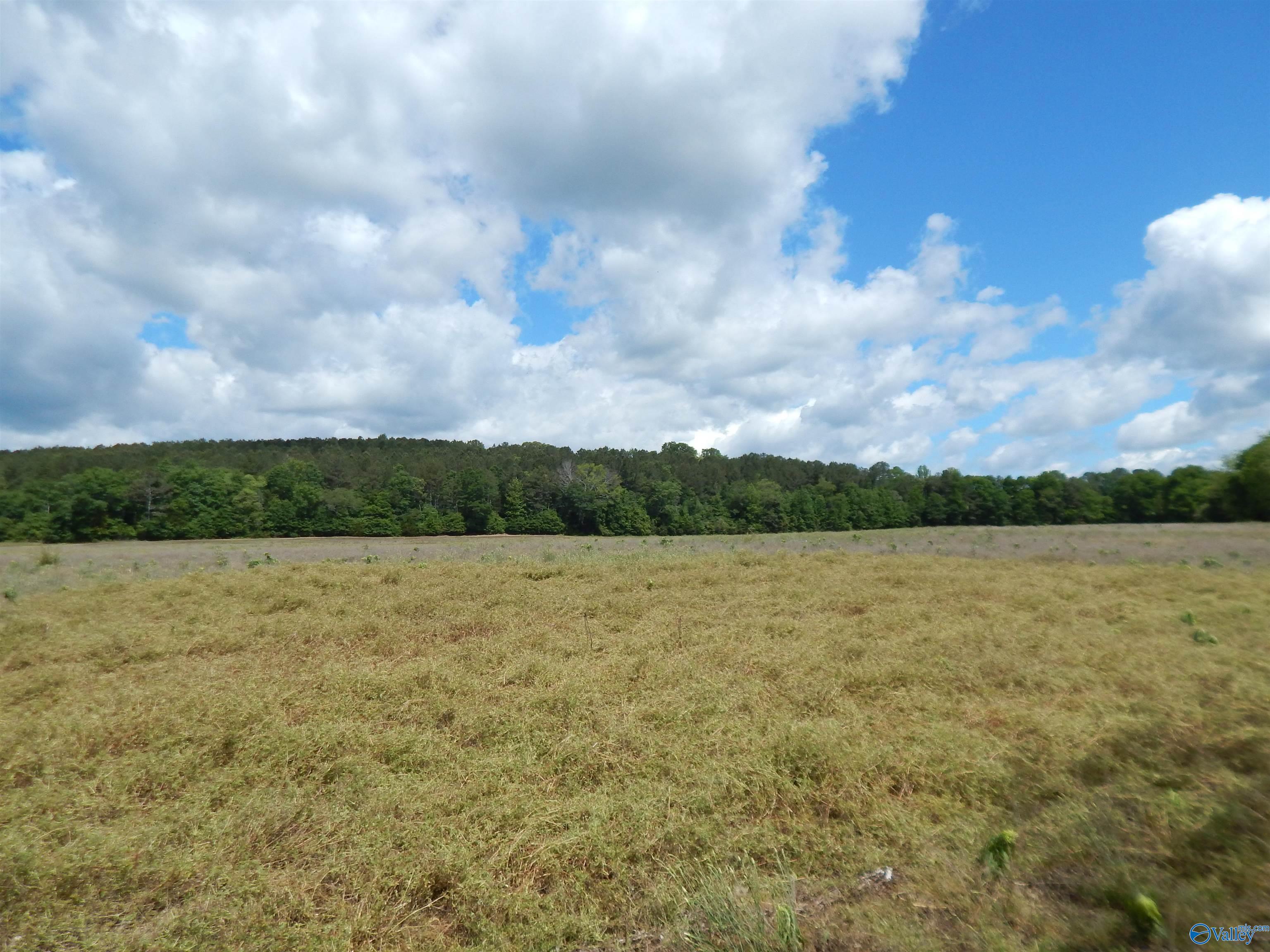 80 Acres County Road 29, Piedmont, Alabama image 1