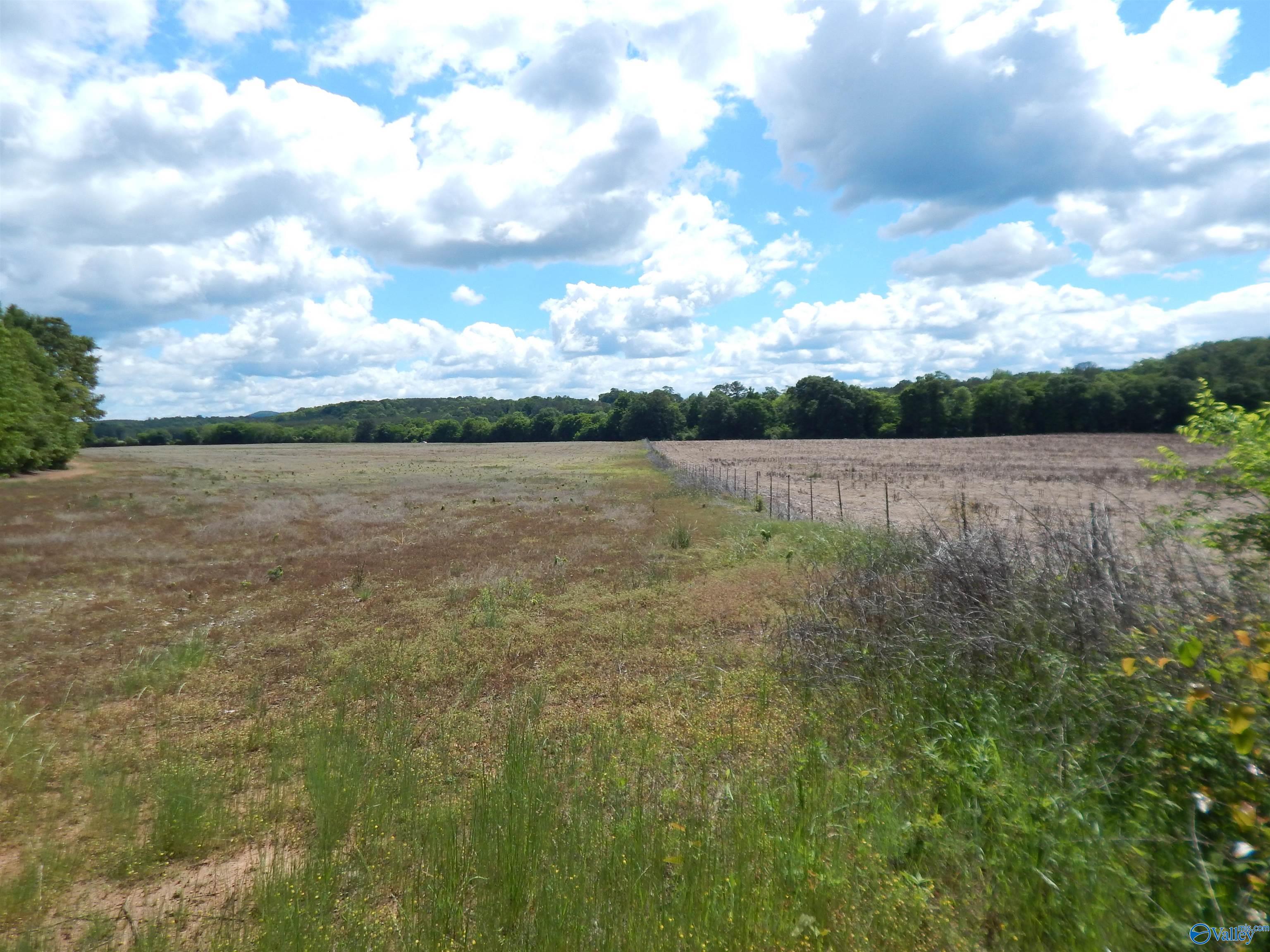 80 Acres County Road 29, Piedmont, Alabama image 32