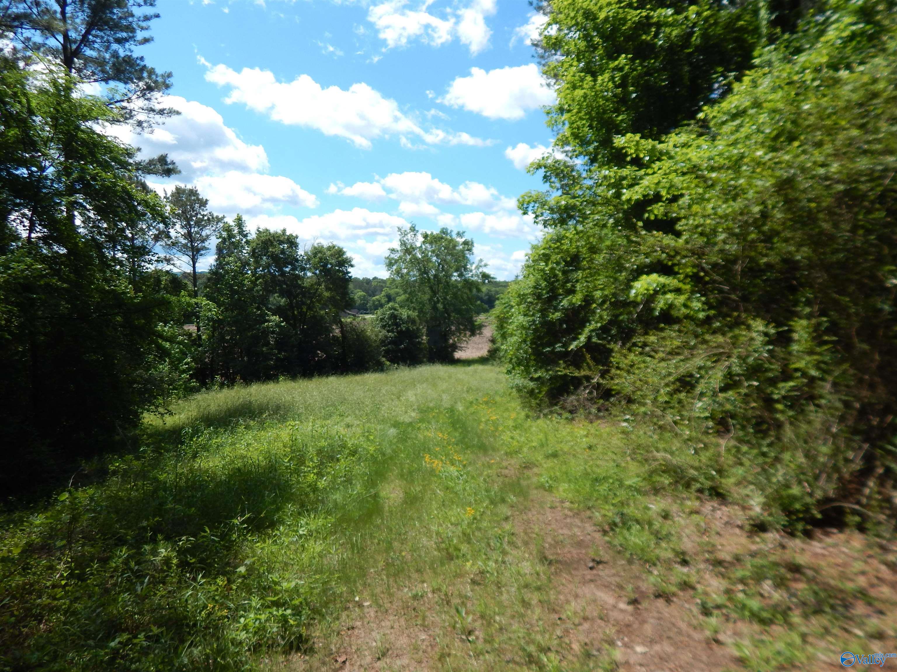 80 Acres County Road 29, Piedmont, Alabama image 31