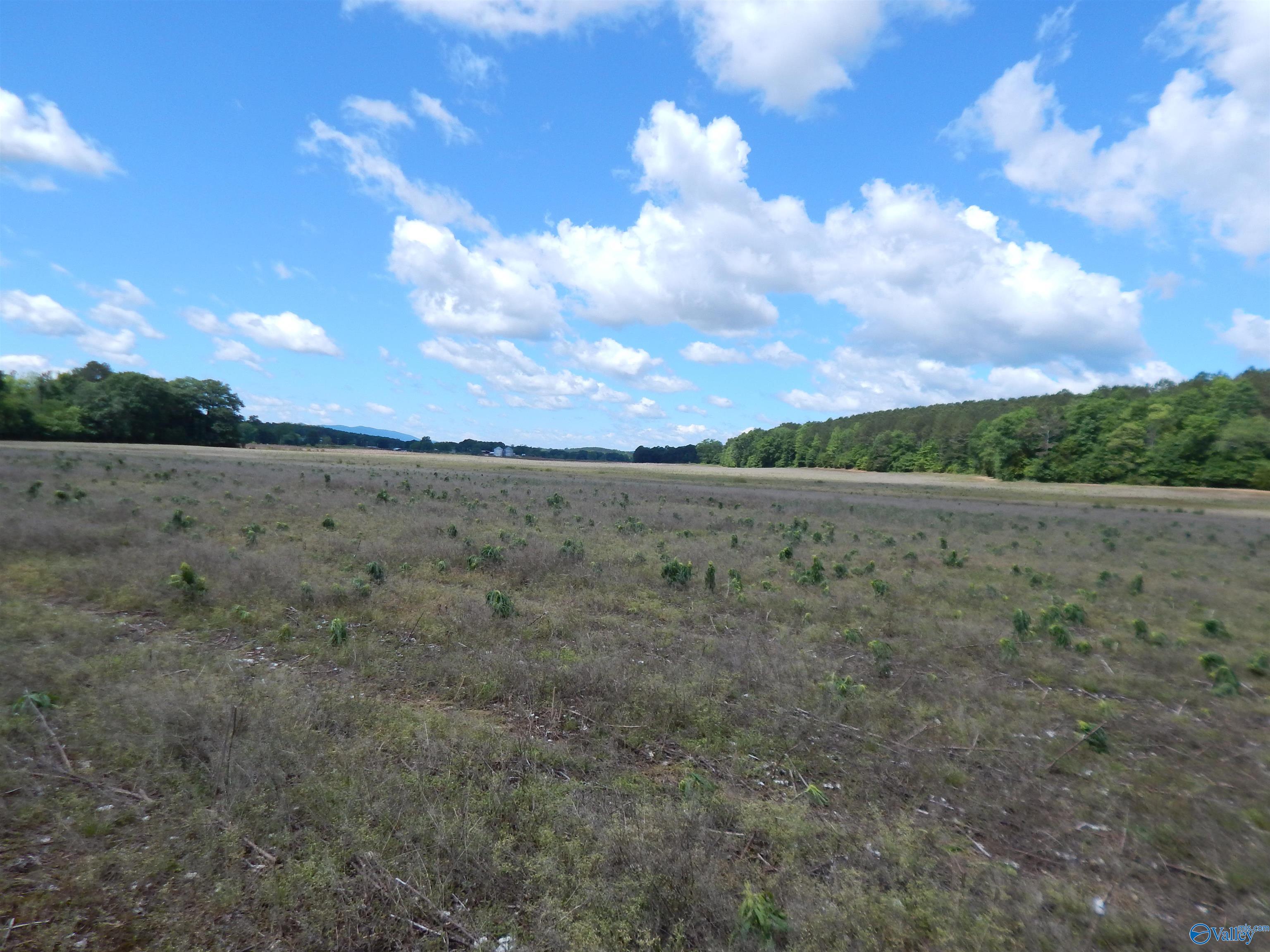 80 Acres County Road 29, Piedmont, Alabama image 13