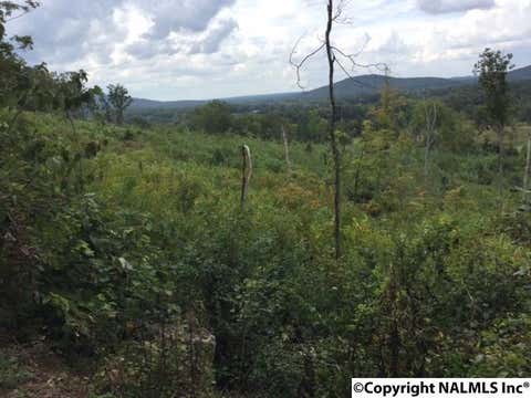 Vacant Land For Sale - 00 Peck Hollow Road<br/> Somerville, AL 35670