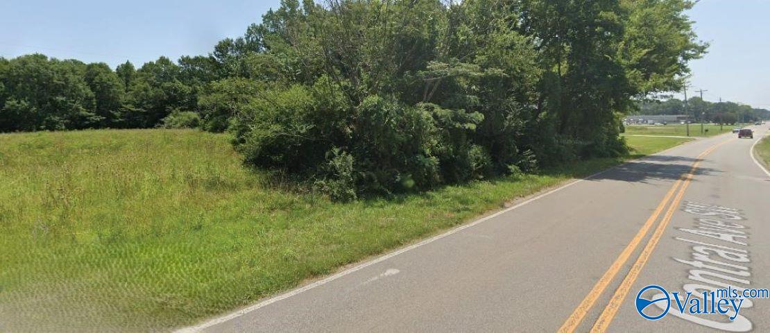 4 Acres E Central Avenue, Decatur, Alabama image 12