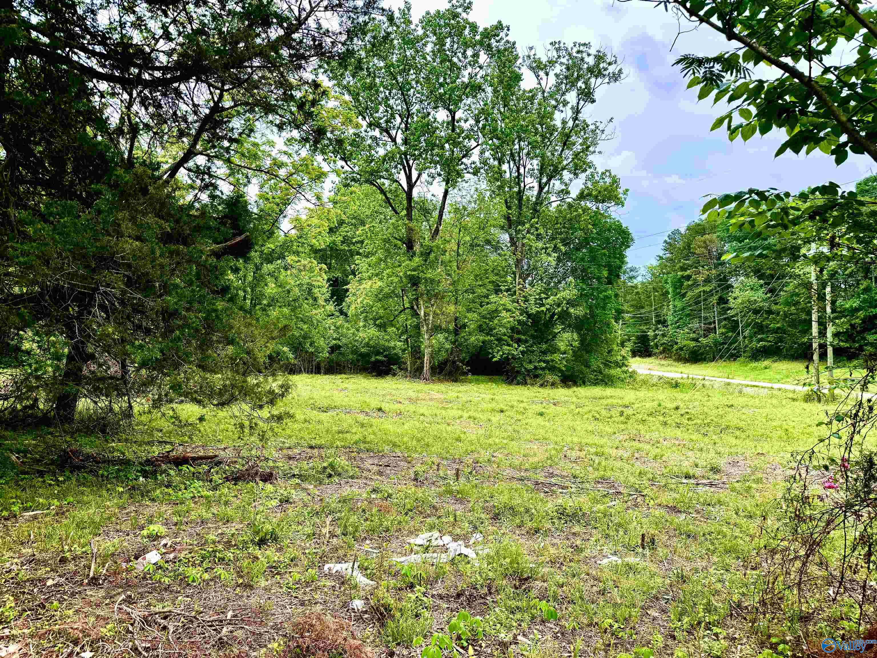 741 County Road 325, Moulton, Alabama image 3