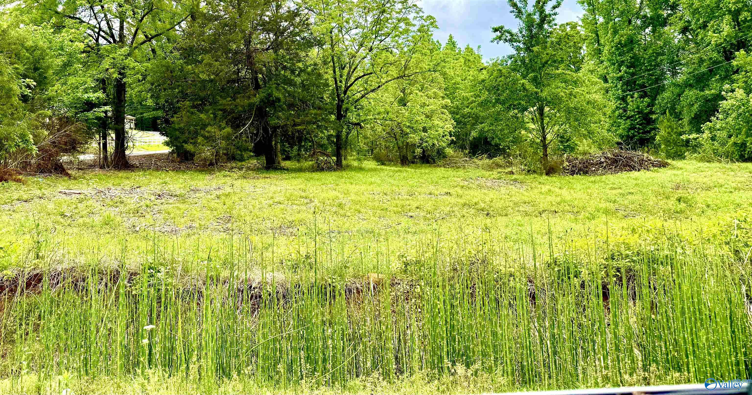741 County Road 325, Moulton, Alabama image 5