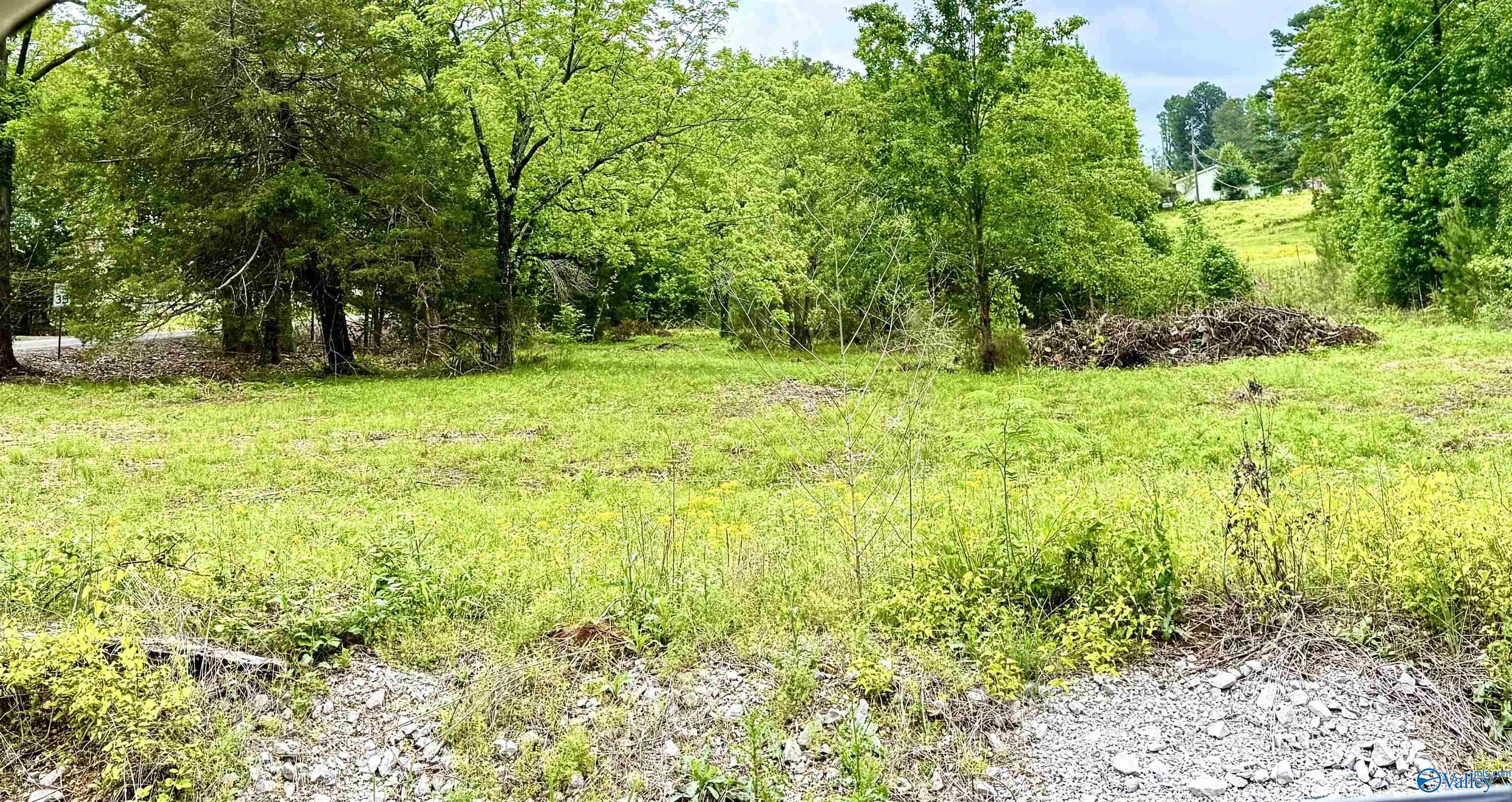741 County Road 325, Moulton, Alabama image 6
