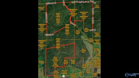 Vacant Land For Sale - 813 ACRES Alabama Highway 65<br/> Jackson County, Paint Rock, AL 35764
