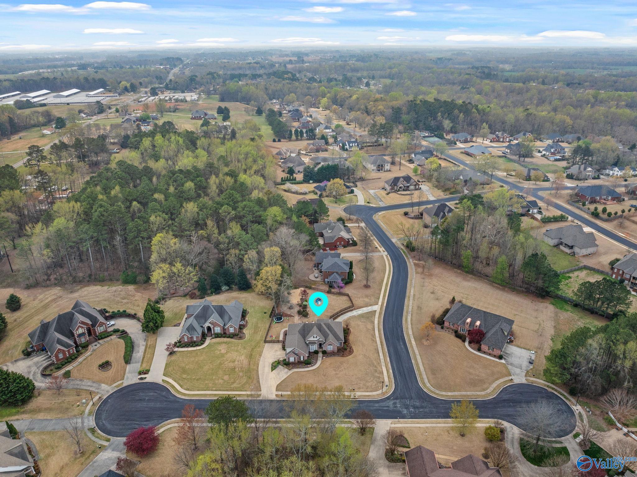 24906 Charleston Place, Athens, Alabama image 40