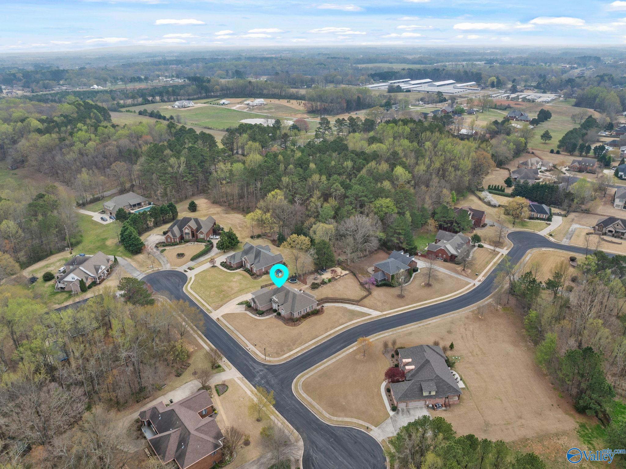 24906 Charleston Place, Athens, Alabama image 41