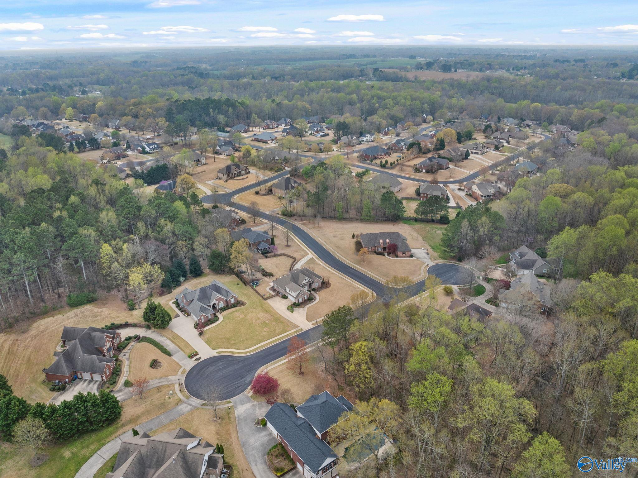 24906 Charleston Place, Athens, Alabama image 42