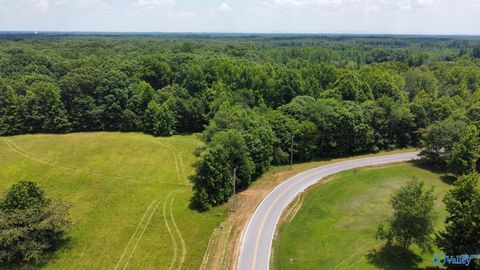 Vacant Land For Sale - 45.55 ACRES Cook Road<br/> Madison County, Ardmore, AL 35739