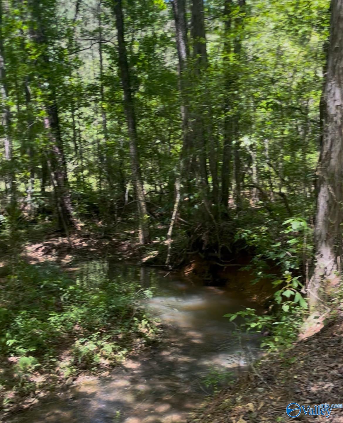 5 Acres Owls Hollow Road, Gadsden, Alabama image 2