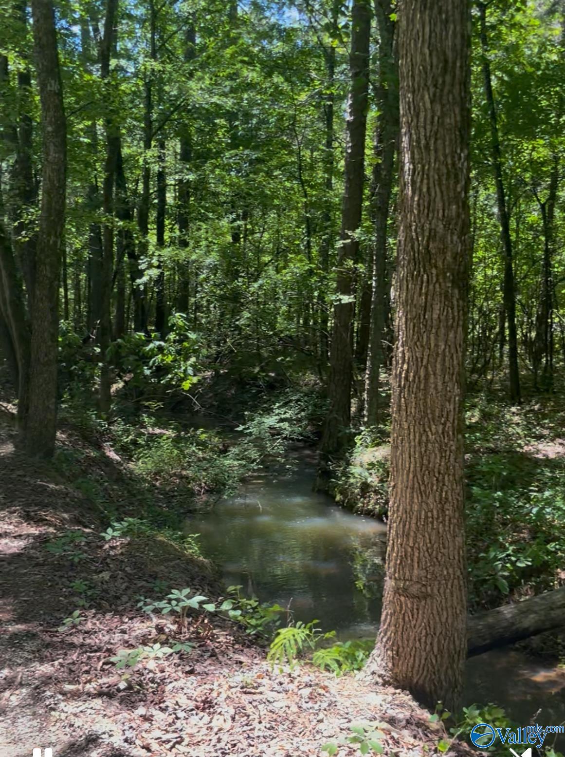 5 Acres Owls Hollow Road, Gadsden, Alabama image 1