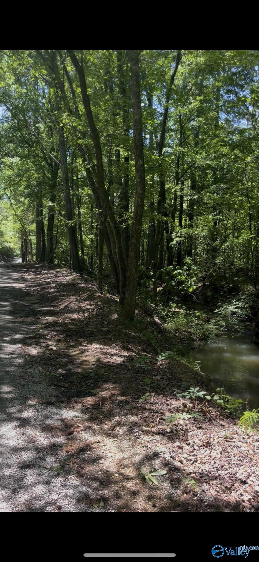 5 Acres Owls Hollow Road, Gadsden, Alabama image 5