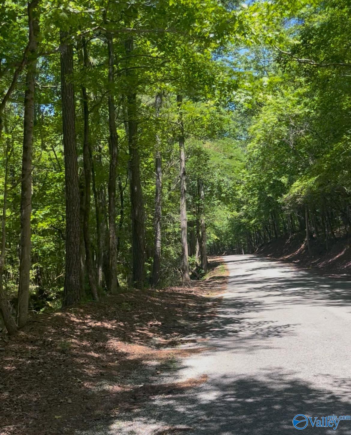 5 Acres Owls Hollow Road, Gadsden, Alabama image 4