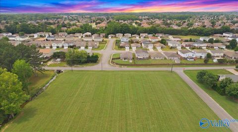 Vacant Land For Sale - 953 Nance Road<br/> Madison County, Madison, AL 35757