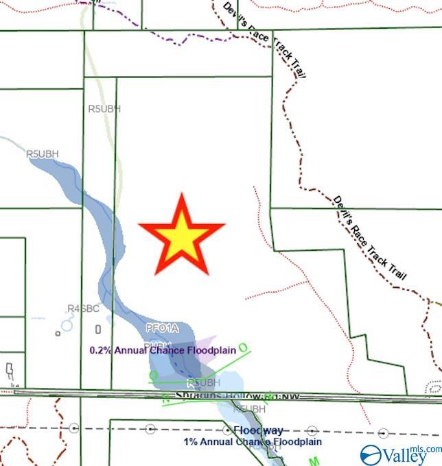 85 Acres Spragins Hollow Road