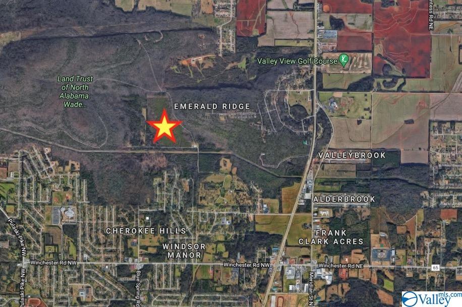 85 Acres Spragins Hollow Road