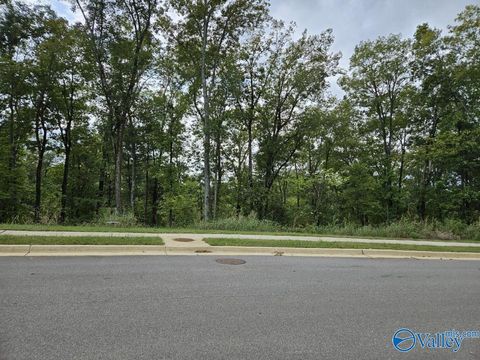 Vacant Land For Sale - 4106 Piedmont Drive<br/> Huntsville, AL 35802