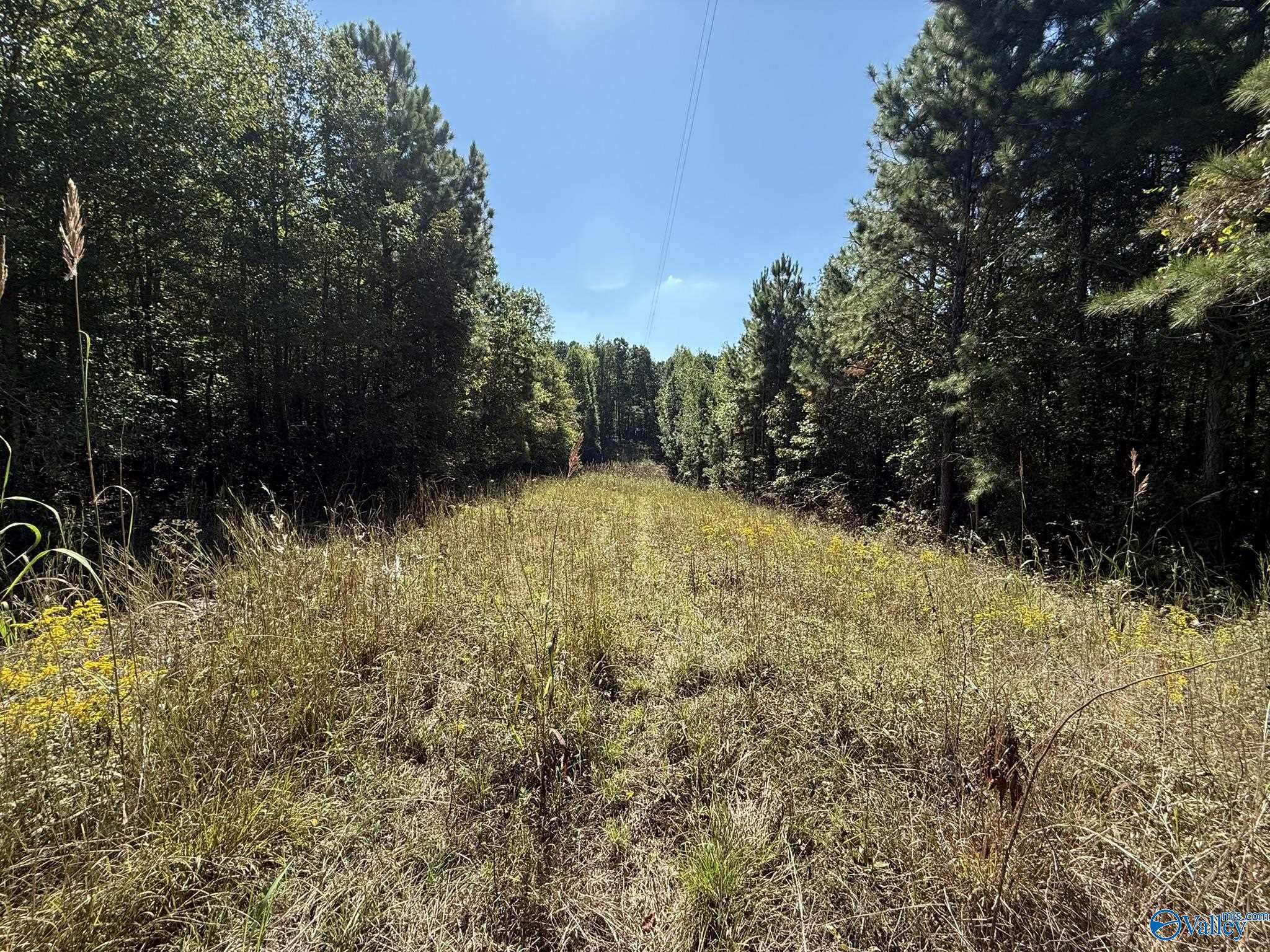 39 Acres County Road 1105